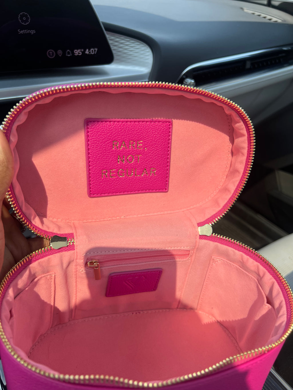 The Vanity Carry (Rare Pink)