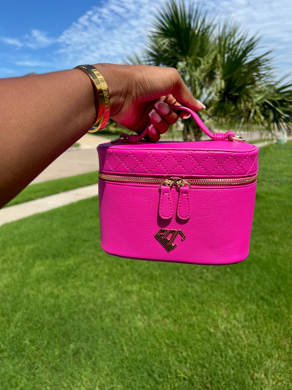 The Vanity Carry (Rare Pink)